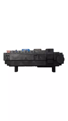  C491EN - BSM Z02/ DELPHI BSM-Z02-01 BSMZ0201 66231300/ ZIE 9810296080 (C491EN)