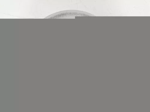  C88WP - SCHIJF + LAGER SET/ 1 KANT/ ZIE 424946 1611840880 1619238880 (C88WP)