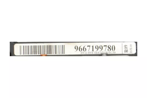  C130EN - BSM-00 R09/ 9667199780/ ZIE 6500HW (C130EN)
