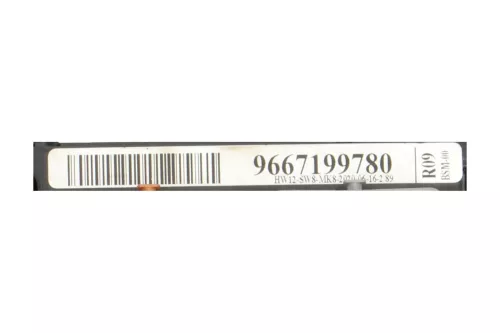  C130EN - BSM-00 R09/ 9667199780/ ZIE 6500HW (C130EN)