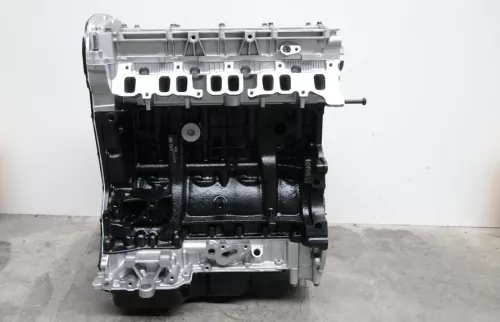  C554AA - T3/ HDI 2.2 4HV PUMA 22DT/ 100PK/ ZIE.0135KX (C554AA)