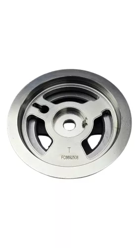  C106AI - B 2.0 16V RFN EW10/ TANDWIEL ACHTERSTE(ZIT WEL RUBBER IN) (C106AI)
