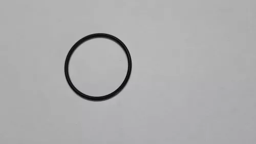 O RING 1X ALLEEN AFDICHTING RETOUR KAPJE/  ZIE 96157730 NFP
