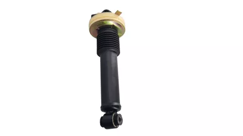 VEERCILINDER/ -STEKKER/ -VARIABEL/ 9688225980 ZONDER